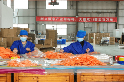 天貓雙11開門紅 產業帶爆發式增長，7個產地首小時銷售額破億，日用百貨引領消費熱潮